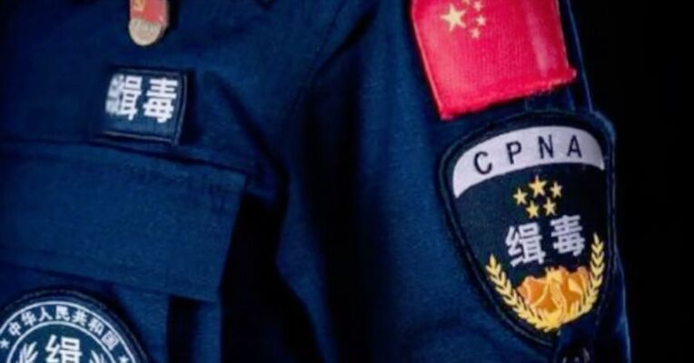 中美联合侦破一起跨国犯罪案件 犯罪嫌疑人被抓