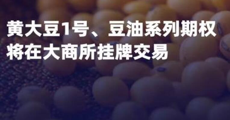 黄大豆1号、豆油系列期权 将在大商所挂牌交易