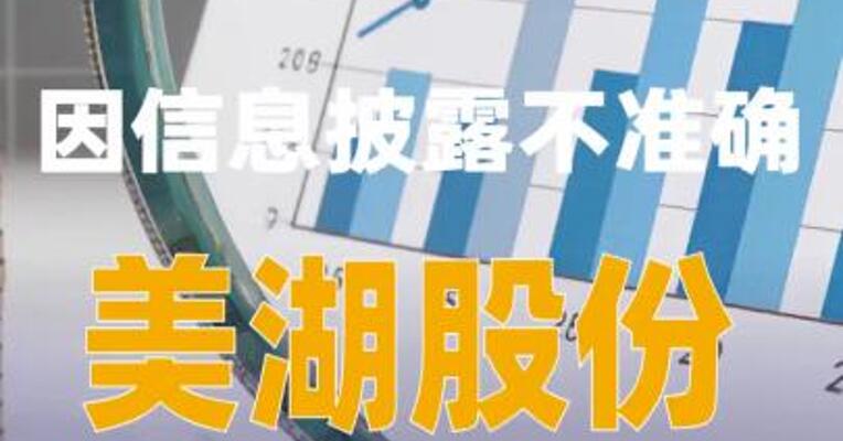 因信息披露不准确，美湖股份被警示