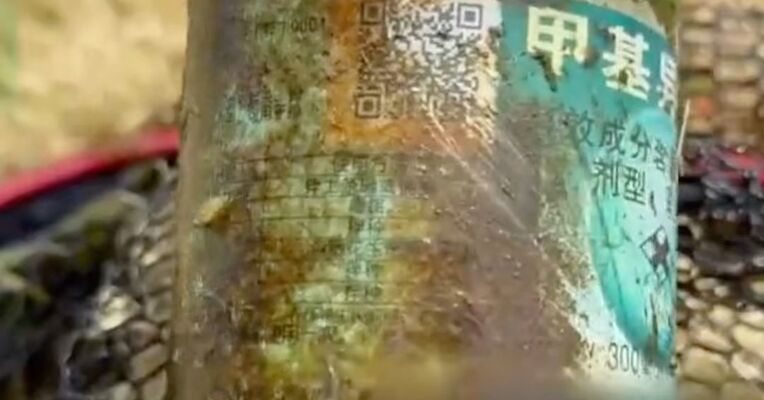 “闻一下上吐下泻！”剧毒禁用农药被用来种植蒜薹、土豆等，农业农村部：关停、取缔，全面彻查！