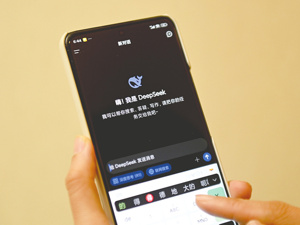 谁在兜售DeepSeek天价份额？