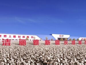 家纺巨头的答卷：洁丽雅27亿元投资背后的百亿品牌担当