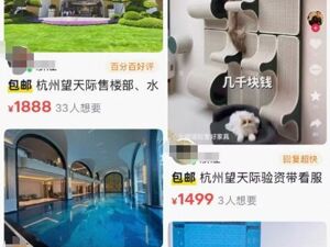 杭州豪宅验资门槛最高升至8000万元，二手平台1888元就能“代验资看房”？