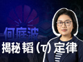 华为何庭波揭秘“韬（τ）定律”研究之路