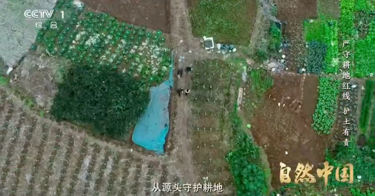 央视大型系列片《严守耕地红线》关注成都从源头守护耕地的创新举措