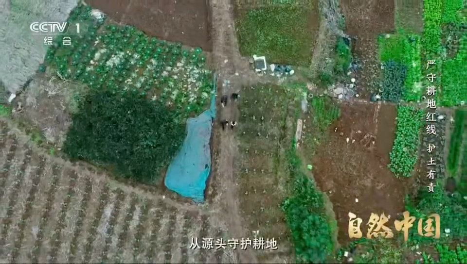 央视大型系列片《严守耕地红线》关注成都从源头守护耕地的创新举措