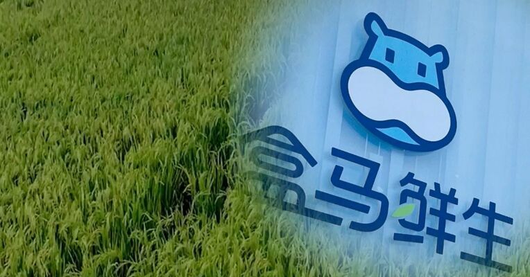 盒马回应上线菜园租用服务：1298元起 包含一年菜园使用权与园内收成