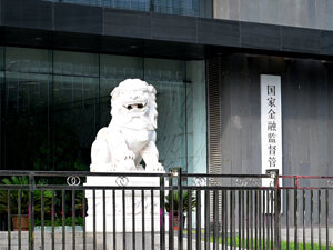丁向群任国家金融监督管理总局党委书记  曾在人保、太平工作多年