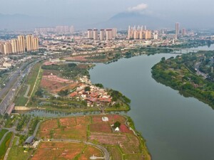 尹稚：城市更新不是疾风暴雨式的运动，而是水涨船高的过程