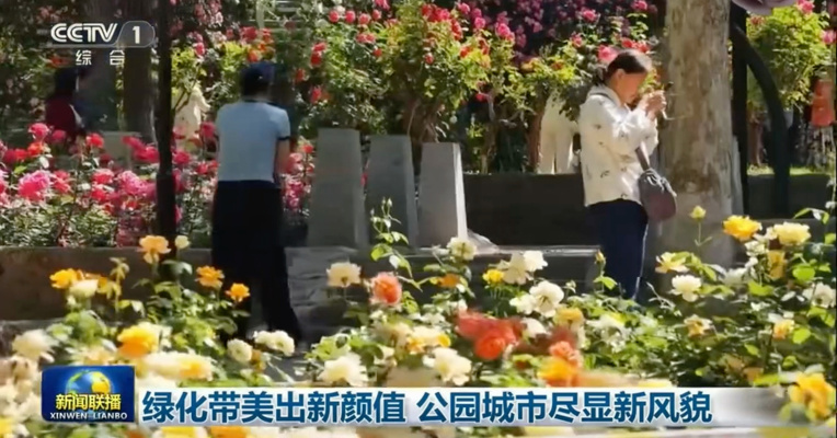 央视《新闻联播》关注成都：绿化带美出新颜值 公园城市尽显新风貌