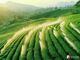 Open-uri20260602-20-ljkklb.thumb_hs