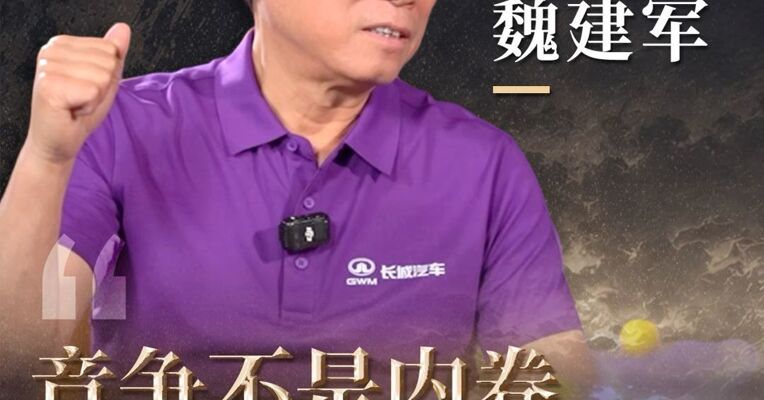 魏建军：竞争不是内卷，规则下我们随便争