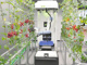 Open-uri20260609-1228-1kgixnm.thumb_hs