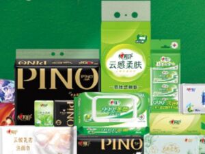 突发！“心相印”母公司掌舵人因健康原因休假 恒安国际：集团一切如常运作