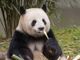 Open-uri20260610-38-49t1vq.thumb_hs