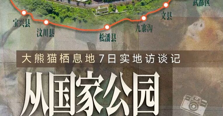 国家公园设立五年，它们怎么样了？大熊猫国家公园7日实地访谈记