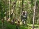 Open-uri20260612-20-2ph5n9.thumb_hs