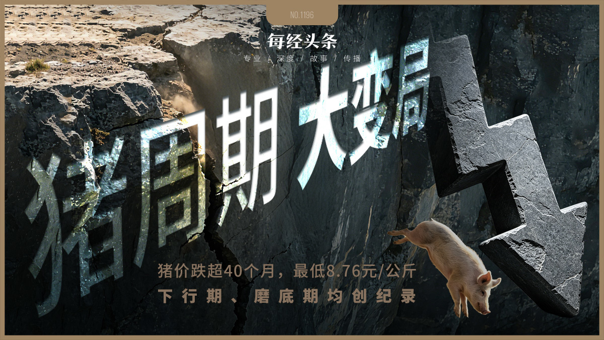 猪价创17年新低，养猪的逻辑彻底变了！专家：猪周期已变形，“地板价”不会再现，反转拐点也不会来