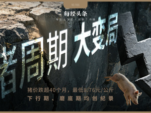 猪价创17年新低，养猪的逻辑彻底变了！专家：猪周期已变形，“地板价”不会再现，反转拐点也不会来