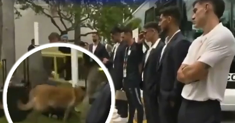 乌拉圭队在世界杯揭幕战开赛仅几小时前压哨飞抵美国！下车遭缉毒犬突查，球员无奈抱臂