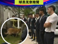 乌拉圭队在世界杯揭幕战开赛仅几小时前压哨飞抵美国！下车遭缉毒犬突查，球员无奈抱臂