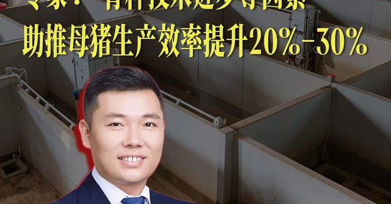 养猪成本也暴跌？专家：育种技术进步等因素助推母猪生产效率提升20%-30%