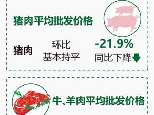 商务部：5月份重要商品市场运行情况