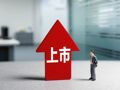 长江存储“放手”武汉新芯，光谷国资接盘！业内：为“一分为二”分别上市铺路？