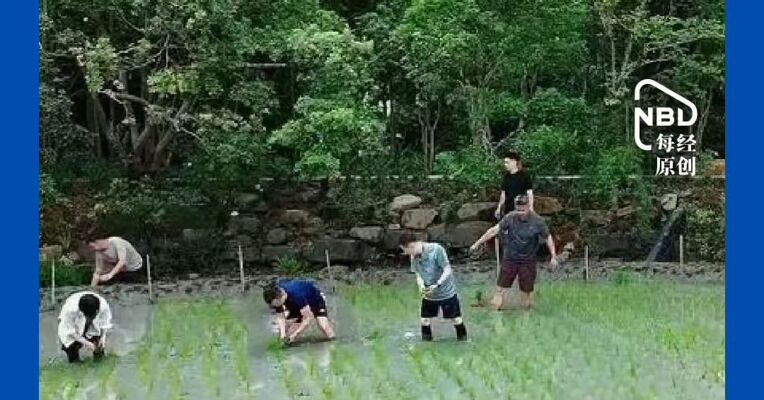 马云与阿里众高管插秧团建 阿里合伙人刘振飞内网发文《手里有秧，才能确保未来有粮》 看好当下公司发展和AI未来