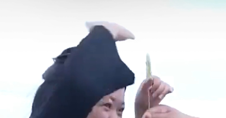 点赞！袁隆平学生种出一人高的小麦 “让袁隆平挠头的学生”邝翡婷：致敬袁老家国情怀与科研坚守