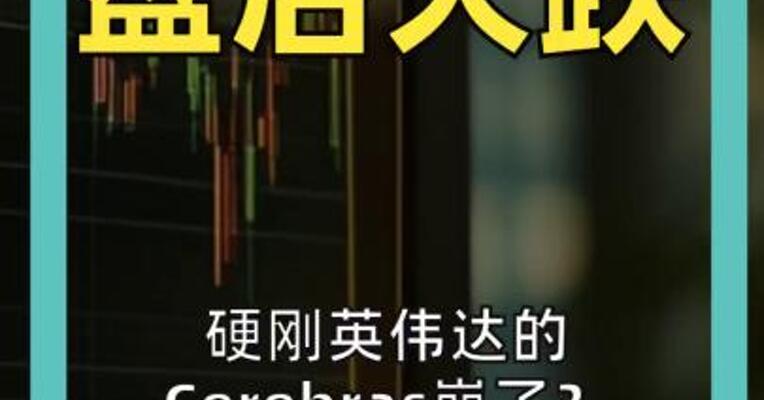 硬刚英伟达的 Cerebras崩了？ 营收近乎翻倍 盘后却大跌11%