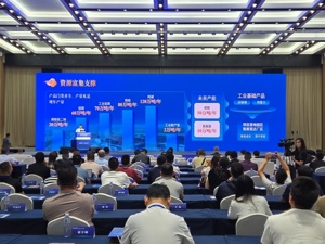 发布超356亿元投资机遇清单 乐山市新型储能与氢能创新发展对接会在五通桥区举行