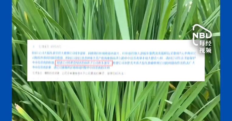 股价年内大涨184%！却被股民吐槽名字晦气 公司回应：会审慎考虑改名 网友评论：笑死！