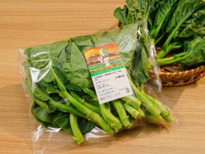 61款戈壁菜陆续上市，从戈壁绿洲到城市厨房加码产地风味