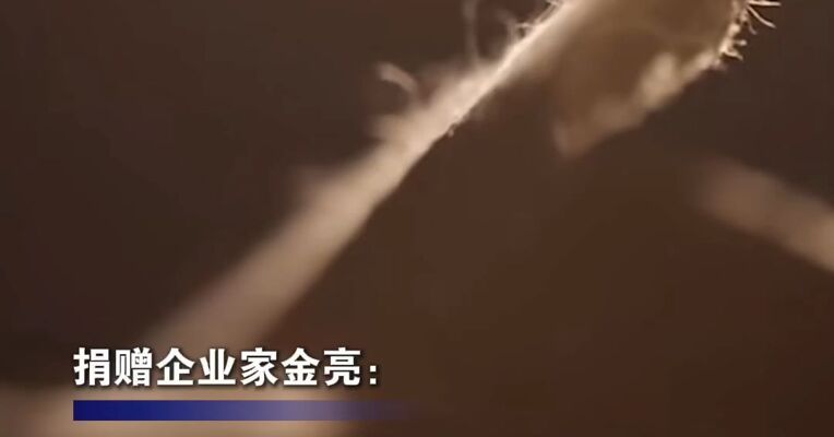 国宝归来！两册《永乐大典》入藏杭州国家版本馆，成“镇馆之宝”，捐赠企业家金亮：花了6500万，从法国拍回后如释重负