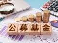 上半年公募参与定增“成绩单”曝光 锚定新质生产力 逾八成实现浮盈