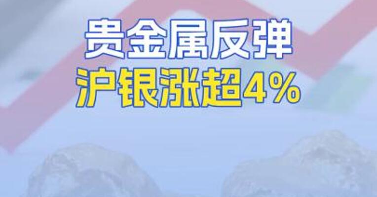 贵金属反弹沪银涨超4%