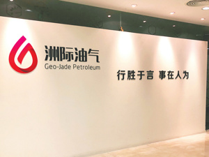 内控失效！ ST洲际14.5亿元隐匿关联交易曝光