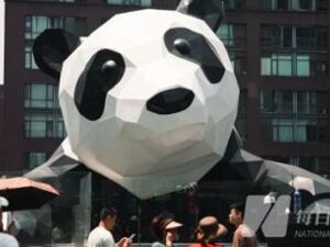 西南民族大学教授马健：成都数字文创下一程，关键是“把人留住”