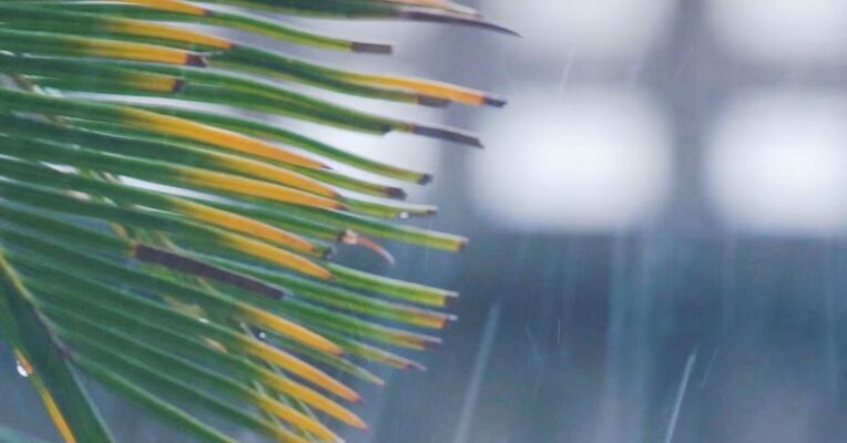 台风“巴威” 有变化，多地有大暴雨、特大暴雨，“巴威” 预计将于明晚在福建福清至浙江温岭一带沿海登陆