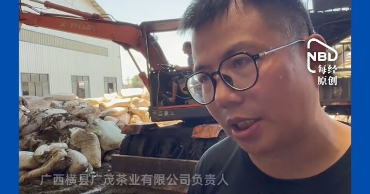 损失超1.5亿！广西横州受灾茶厂实探，泡水茶叶全部扔掉，底层已发酸；叉车挖掘机齐上阵，紧急抢救上层完好茶包