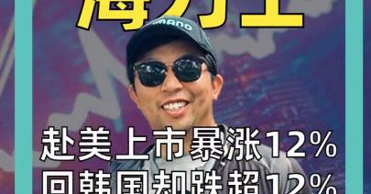 赴美上市暴涨12%， 回韩国却跌超12% SK海力士为何遭抛售？
