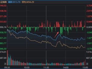 沪指险守3900点，存储龙头一天5次跌停！“二冰”出现后，A股能否修复？