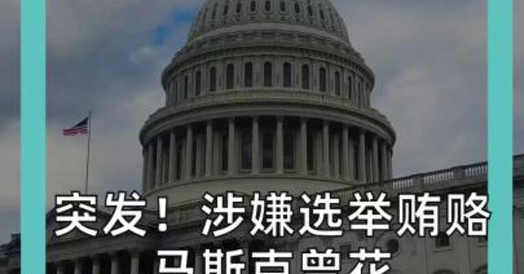 突发！涉嫌选举贿赂 马斯克曾花 100 万美元买选票？