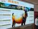 Open-uri20260716-32-w07ufr.thumb_hs