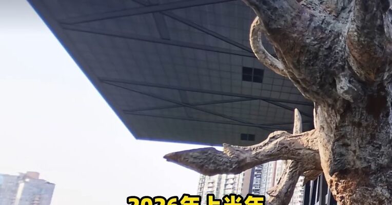 视频 | 政策赋能提振信心，深市上半年回购增持计划超240单