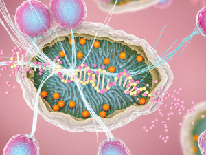 23年“老药”撑起超六成营收 重销售轻研发的康诺生物能否讲好“年轻”故事？