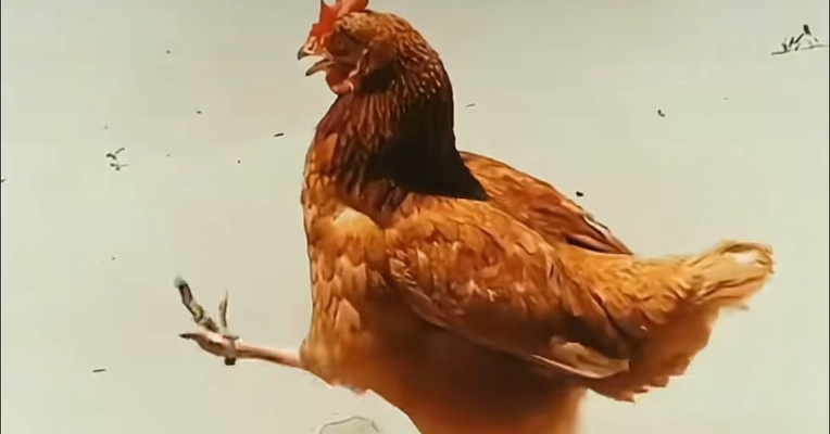 新疆：今年国家级气象站出现首个50℃！有地区地表温度超70℃，网友称不敢出门，专家提醒警惕热射病！