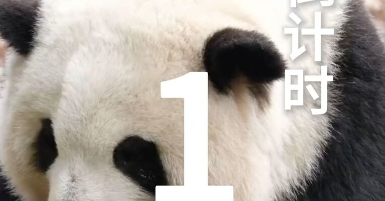 倒计时1天!APEC人工智能高级别论坛即将在四川成都举办!让我们共赴亚太数字之约!