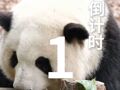 倒计时1天!APEC人工智能高级别论坛即将在四川成都举办!让我们共赴亚太数字之约!